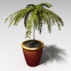 盆景-动植物-盆栽-VR/AR模型-3D城
