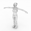 女人-角色人体-女人-VR/AR模型-3D城