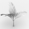 大果茶梅椰子-动植物-植物-VR/AR模型-3D城