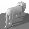 狮子模型-动植物-哺乳动物-VR/AR模型-3D城
