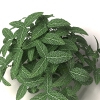 室外植物-动植物-花草-VR/AR模型-3D城