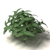 室外植物-动植物-花草-VR/AR模型-3D城
