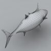 鱼-动植物-鱼类-VR/AR模型-3D城