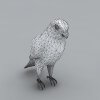 鸟-动植物-鸟类-VR/AR模型-3D城