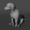 短毛犬-动植物-哺乳动物-VR/AR模型-3D城