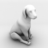 短毛犬-动植物-哺乳动物-VR/AR模型-3D城