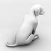 短毛犬-动植物-哺乳动物-VR/AR模型-3D城