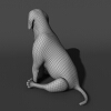 短毛犬-动植物-哺乳动物-VR/AR模型-3D城