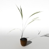 盆景-动植物-盆栽-VR/AR模型-3D城