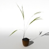 盆景-动植物-盆栽-VR/AR模型-3D城