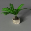 盆景-动植物-盆栽-VR/AR模型-3D城
