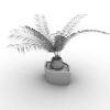 盆景-动植物-盆栽-VR/AR模型-3D城