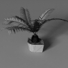 盆景-动植物-盆栽-VR/AR模型-3D城