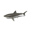 White Shark-动植物-哺乳动物-VR/AR模型-3D城