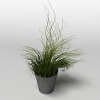 盆景-动植物-盆栽-VR/AR模型-3D城