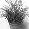 盆景-动植物-盆栽-VR/AR模型-3D城