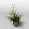 盆景-动植物-盆栽-VR/AR模型-3D城