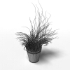 盆景-动植物-盆栽-VR/AR模型-3D城