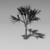 红刺露兜-动植物-植物-VR/AR模型-3D城