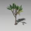 红刺露兜-动植物-植物-VR/AR模型-3D城