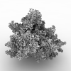 锦带花-动植物-花草-VR/AR模型-3D城