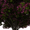 锦带花-动植物-花草-VR/AR模型-3D城