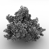 锦带花-动植物-花草-VR/AR模型-3D城