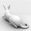 猫-动植物-哺乳动物-VR/AR模型-3D城