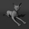 猫-动植物-哺乳动物-VR/AR模型-3D城