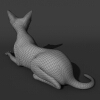 猫-动植物-哺乳动物-VR/AR模型-3D城
