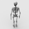 人体骨架-角色人体-医学解剖-VR/AR模型-3D城