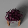 盆景-动植物-盆栽-VR/AR模型-3D城