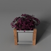 盆景-动植物-盆栽-VR/AR模型-3D城