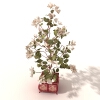 盆景-动植物-盆栽-VR/AR模型-3D城