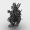 草-动植物-植物-VR/AR模型-3D城