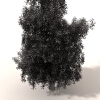 草-动植物-植物-VR/AR模型-3D城
