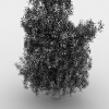 草-动植物-植物-VR/AR模型-3D城