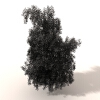 草-动植物-植物-VR/AR模型-3D城