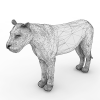 狮子-动植物-哺乳动物-VR/AR模型-3D城