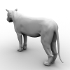 狮子-动植物-哺乳动物-VR/AR模型-3D城