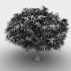 树-动植物-植物-VR/AR模型-3D城