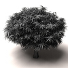 树-动植物-植物-VR/AR模型-3D城