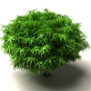 树-动植物-植物-VR/AR模型-3D城