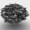 树-动植物-植物-VR/AR模型-3D城