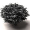 树-动植物-植物-VR/AR模型-3D城