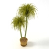 植物 -动植物-盆栽-VR/AR模型-3D城
