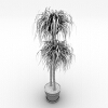 植物 -动植物-盆栽-VR/AR模型-3D城