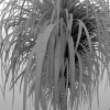 植物 -动植物-盆栽-VR/AR模型-3D城