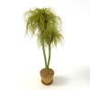植物 -动植物-盆栽-VR/AR模型-3D城