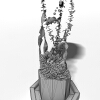 金鱼-动植物-鱼类-VR/AR模型-3D城